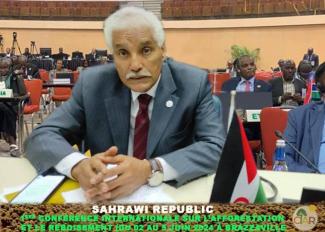 وزير الخارجية يشارك في الندوة الدولية حول المناخ والغابات بالكونغو 