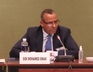 Frente POLISARIO Representative at the UN: It is the Sahrawi people who decide the Present and Future of Western Sahara, not France or any other country 