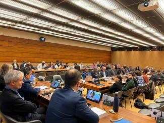 Geneva Group calls for accelerating settlement of  Sahrawi and Palestinian issues based on law and international legitimacy