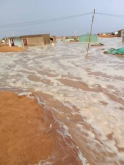 Des pluies torrentielles et des inondations causent des dégâts dans les camps de réfugiés sahraouis