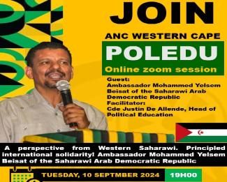 South Africa: Digital Conference on Sahrawi issue