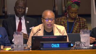 Renewing calls to accelerate the decolonization of Western Sahara at the level of the 4th Committee of the UN General Assembly