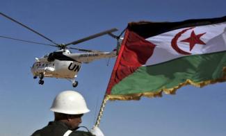 MINURSO must face natural resources plundering in Western Sahara