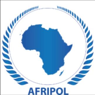 La Policía Saharaui participa en un taller del AFRIPOL sobre Ciberseguridad