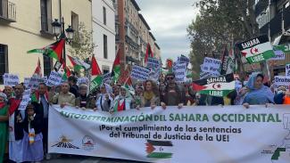 Manifestación recorre Madrid para exigir la celebración de un referéndum y  cumplimiento de las sentencias del tribunal de Justicia de la UE (MANIFIESTO)